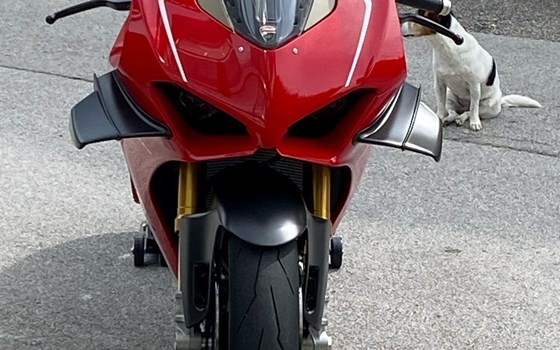 Gebrauchtmotorrad Ducati Panigale V4 R - Bild 11