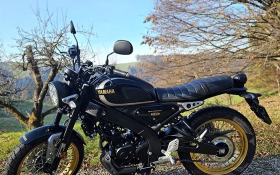 Motorrad Occasion Yamaha XSR125 Legacy - Bild 2