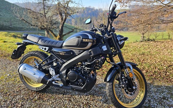 Motorrad Occasion Yamaha XSR125 Legacy - Bild 4
