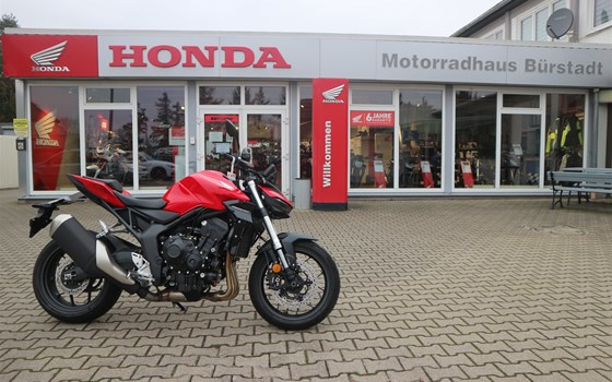 Neufahrzeug Honda CB1000 Hornet - Bild 1