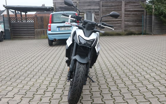 Neufahrzeug Honda CB750 Hornet - Bild 3