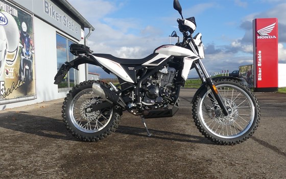 Gebrauchtmotorrad Beta Alp 4.0 - Bild 3