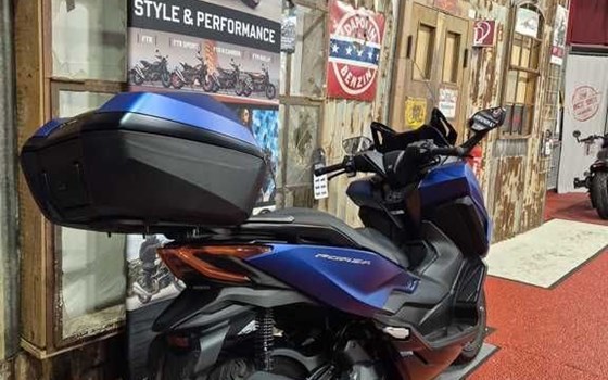 Gebrauchtmotorrad Honda Forza 125 - Bild 8