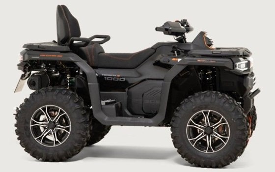 Gebrauchtmotorrad Goes Terrox 1000 - Bild 2