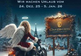 Gebrauchte Triumph Speed Triple 1200 RS