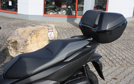 Gebrauchtmotorrad Honda Forza 125 - Bild 19