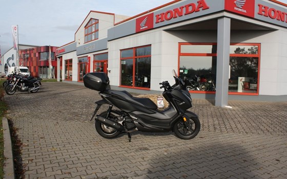 Gebrauchtmotorrad Honda Forza 125 - Bild 3