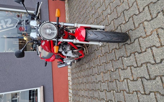 Gebrauchtmotorrad Yamaha XVS 650 Drag Star - Bild 2