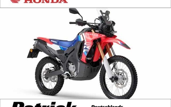 Gebrauchtmotorrad Honda CRF300 Rally - Bild 1