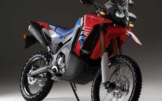 Gebrauchtmotorrad Honda CRF300 Rally - Bild 2