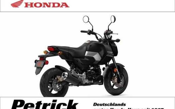 Gebrauchtmotorrad Honda MSX125 Grom - Bild 1