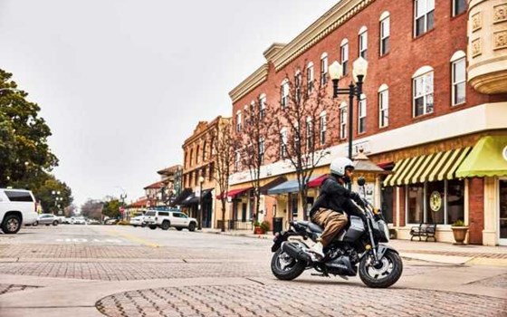 Gebrauchtmotorrad Honda MSX125 Grom - Bild 2