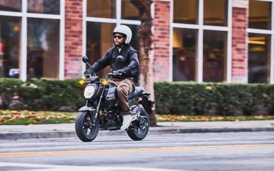 Gebrauchtmotorrad Honda MSX125 Grom - Bild 4