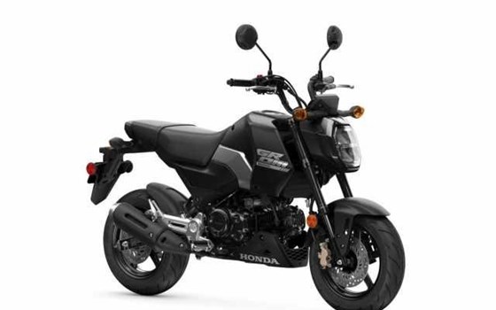 Gebrauchtmotorrad Honda MSX125 Grom - Bild 5