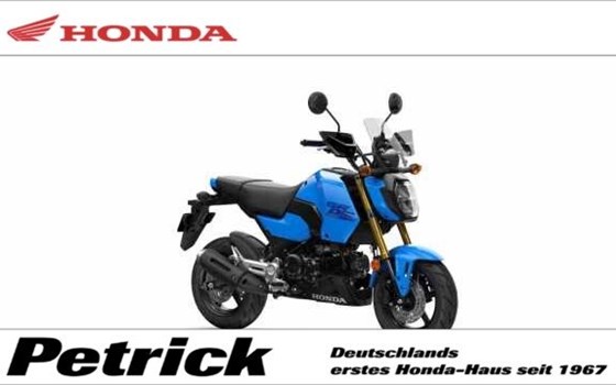 Gebrauchtmotorrad Honda MSX125 Grom - Bild 1