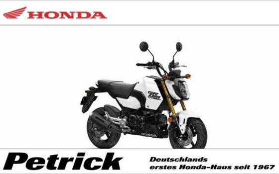 Gebrauchtmotorrad Honda MSX125 Grom - Bild 1