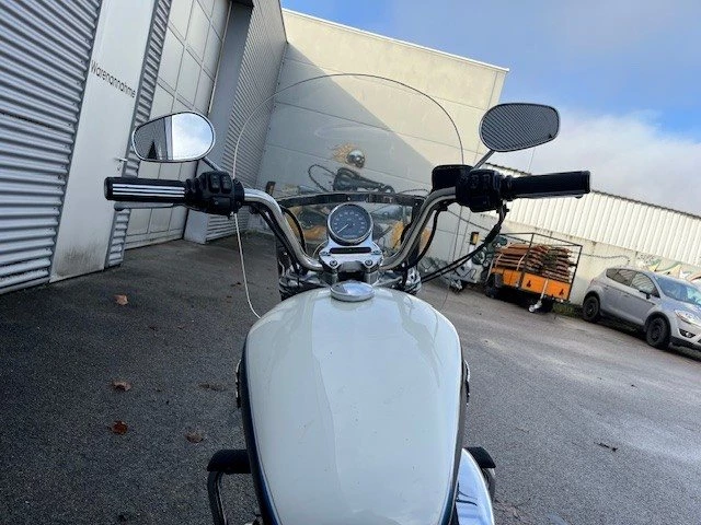 Harley-Davidson Sportster XL 1200T SuperLow (Birch White/Midnight Pearl) - Bild 11