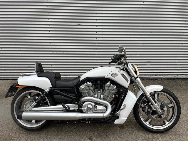 Harley-Davidson V-Rod Muscle VRSCF (White Hot Denim) - Bild 2