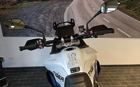 Neufahrzeug Triumph Tiger 900 Alpine Edition - Bild 10