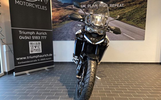 Neufahrzeug Triumph Tiger 900 Alpine Edition - Bild 3