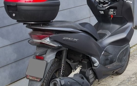 Motorrad Occasion Honda PCX125 - Bild 4