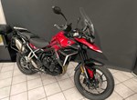 Angebot Triumph Tiger 900 GT Pro