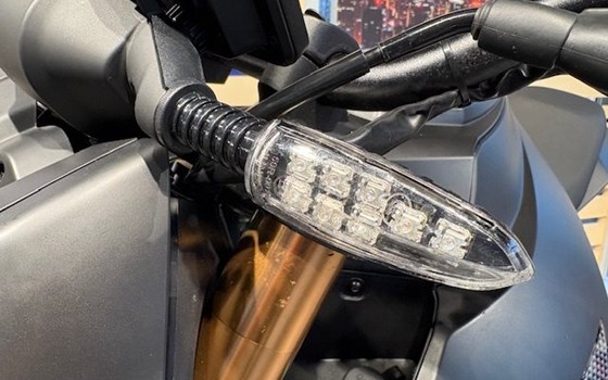 Gebrauchtmotorrad Online Pista 125 R ABS - Bild 8