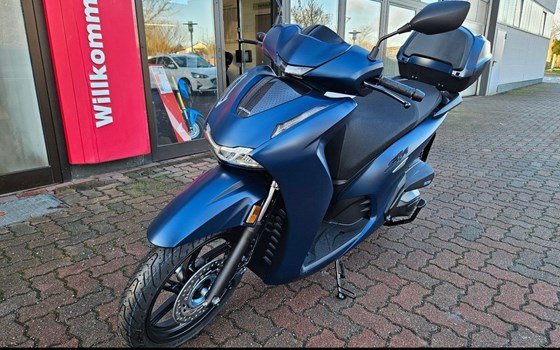 Gebrauchtmotorrad Honda SH350i - Bild 2