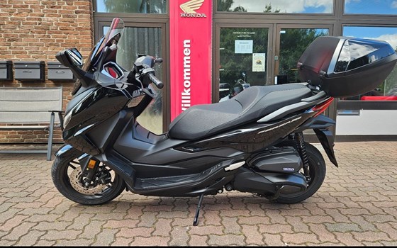 Gebrauchtmotorrad Honda Forza 350 - Bild 1