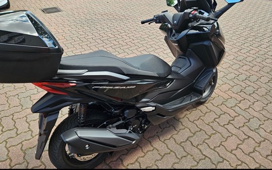 Gebrauchtmotorrad Honda Forza 350 - Bild 2