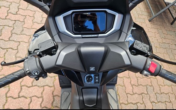 Gebrauchtmotorrad Honda Forza 350 - Bild 3