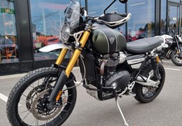 Gebrauchte Triumph Scrambler 1200 XE