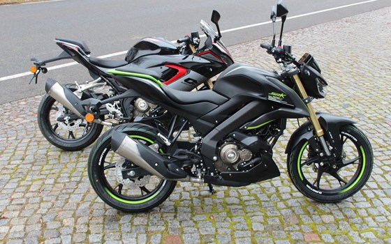 Neufahrzeug QJ Motor SRK 125 S - Bild 4