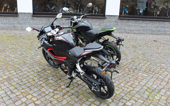 Neufahrzeug QJ Motor SRK 125 S - Bild 5