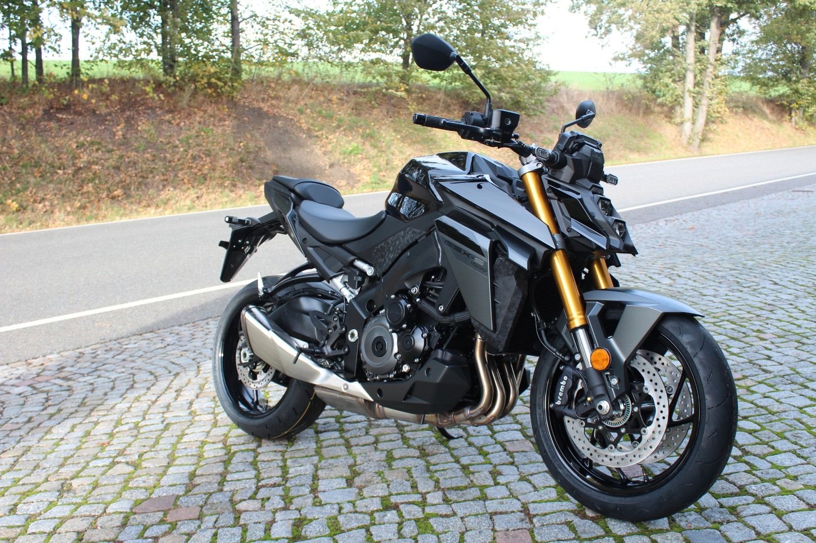Suzuki GSX-S1000