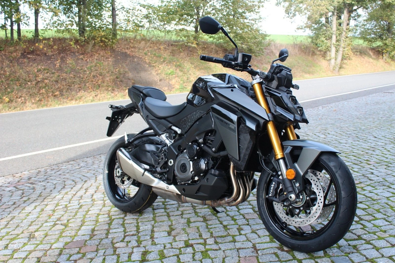 Suzuki GSX-S1000