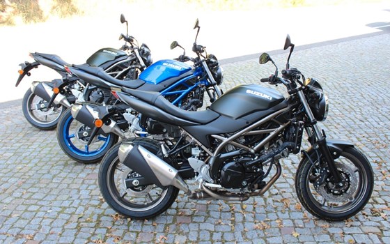 Neufahrzeug Suzuki SV650 - Bild 2