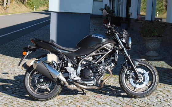 Neufahrzeug Suzuki SV650 - Bild 3