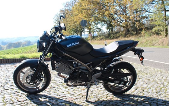 Neufahrzeug Suzuki SV650 - Bild 5