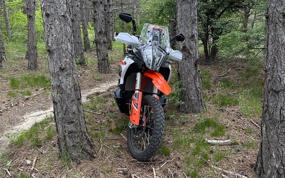 Gebrauchtmotorrad KTM 890 Adventure R - Bild 1
