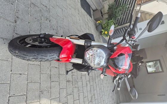 Gebrauchtmotorrad Ducati Monster 1200 - Bild 7