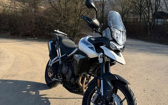 Gebrauchtmotorrad Triumph Tiger 900 GT Pro - Bild 3