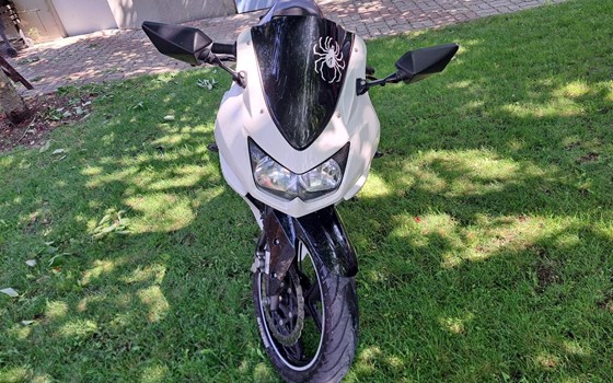 Gebrauchtmotorrad Kawasaki Ninja 250R - Bild 2
