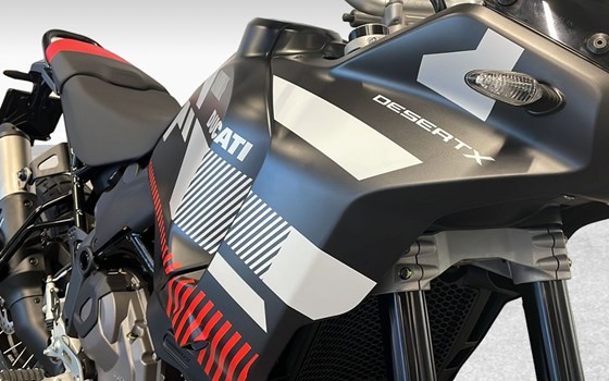 Motorrad Occasion Ducati DesertX - Bild 9