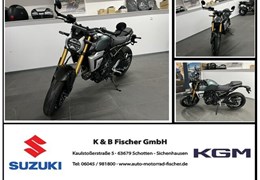 Neumotorrad Suzuki GSX-8T