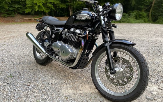 Motorrad Occasion Triumph Thruxton - Bild 5