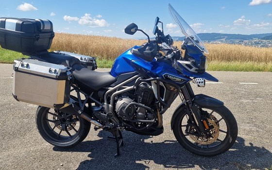 Motorrad Occasion Triumph Tiger 1200 XRx Low - Bild 3