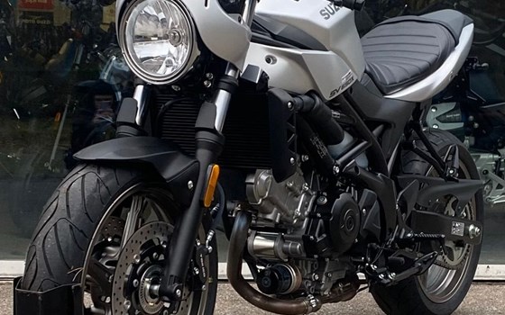 Neufahrzeug Suzuki SV650X - Bild 1