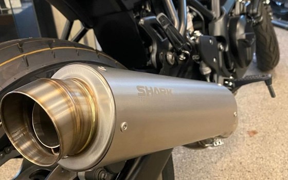 Neufahrzeug Suzuki SV650X - Bild 5
