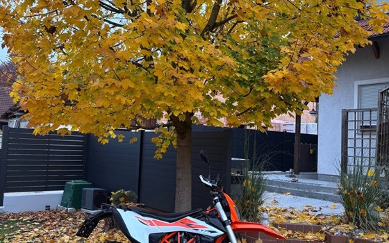 Gebrauchtmotorrad KTM 690 Enduro R - Bild 11